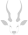 oryxcollection.com